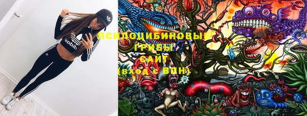 ГАЛЛЮЦИНОГЕННЫЕ ГРИБЫ Киреевск