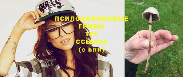 ГАЛЛЮЦИНОГЕННЫЕ ГРИБЫ Киреевск